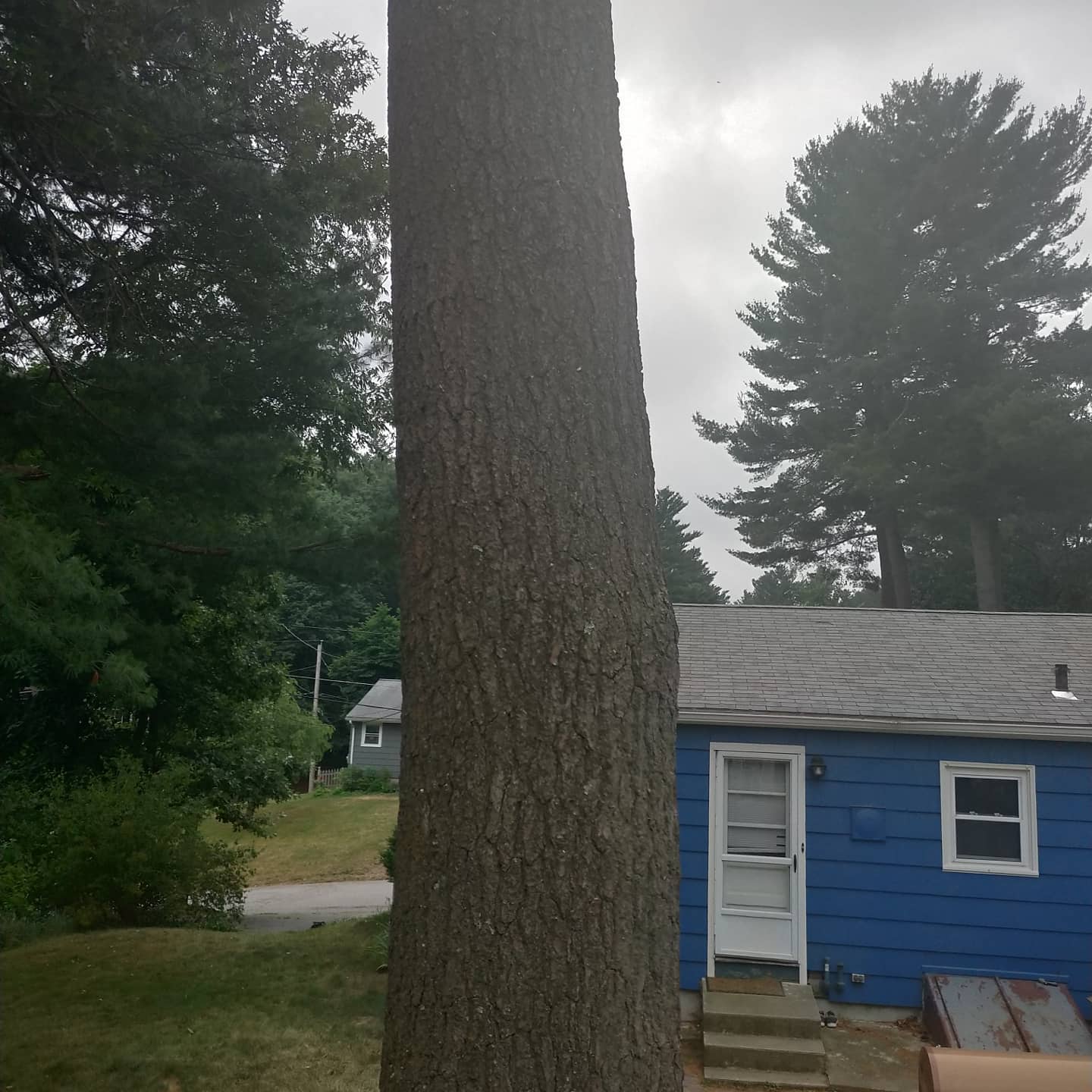 Two large trunks beside a blue house