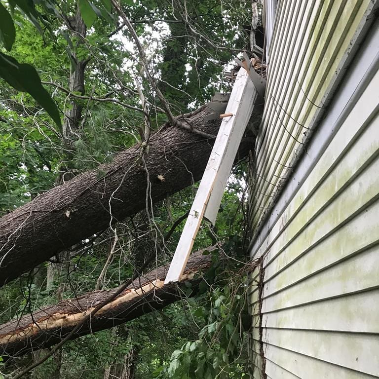 Fallen trunk pressing against a home's siding