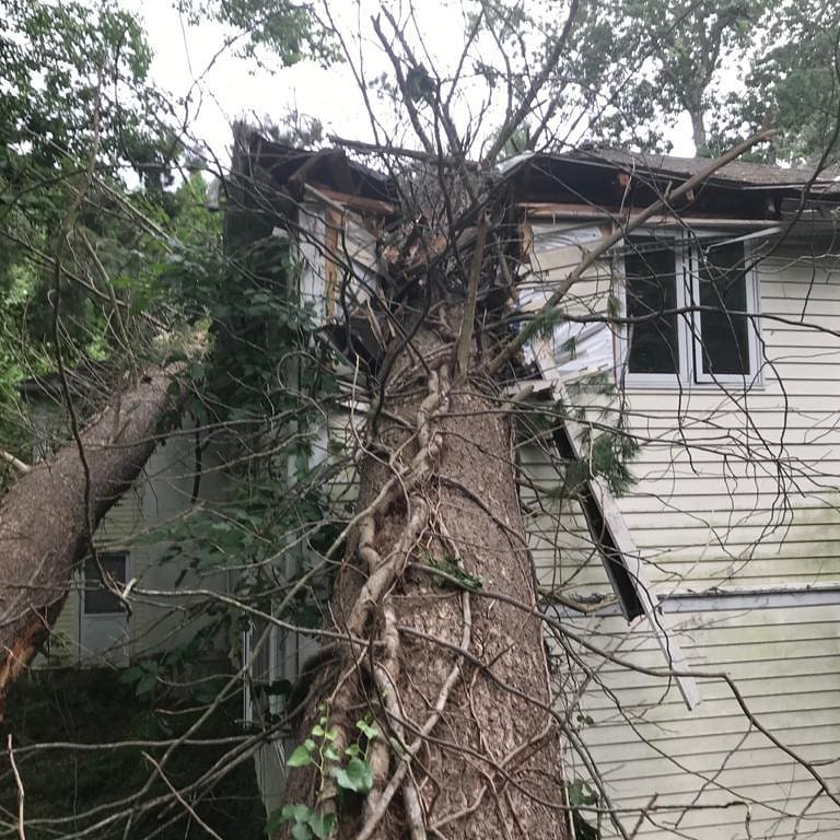 Fallen tree and branches against a residential structure