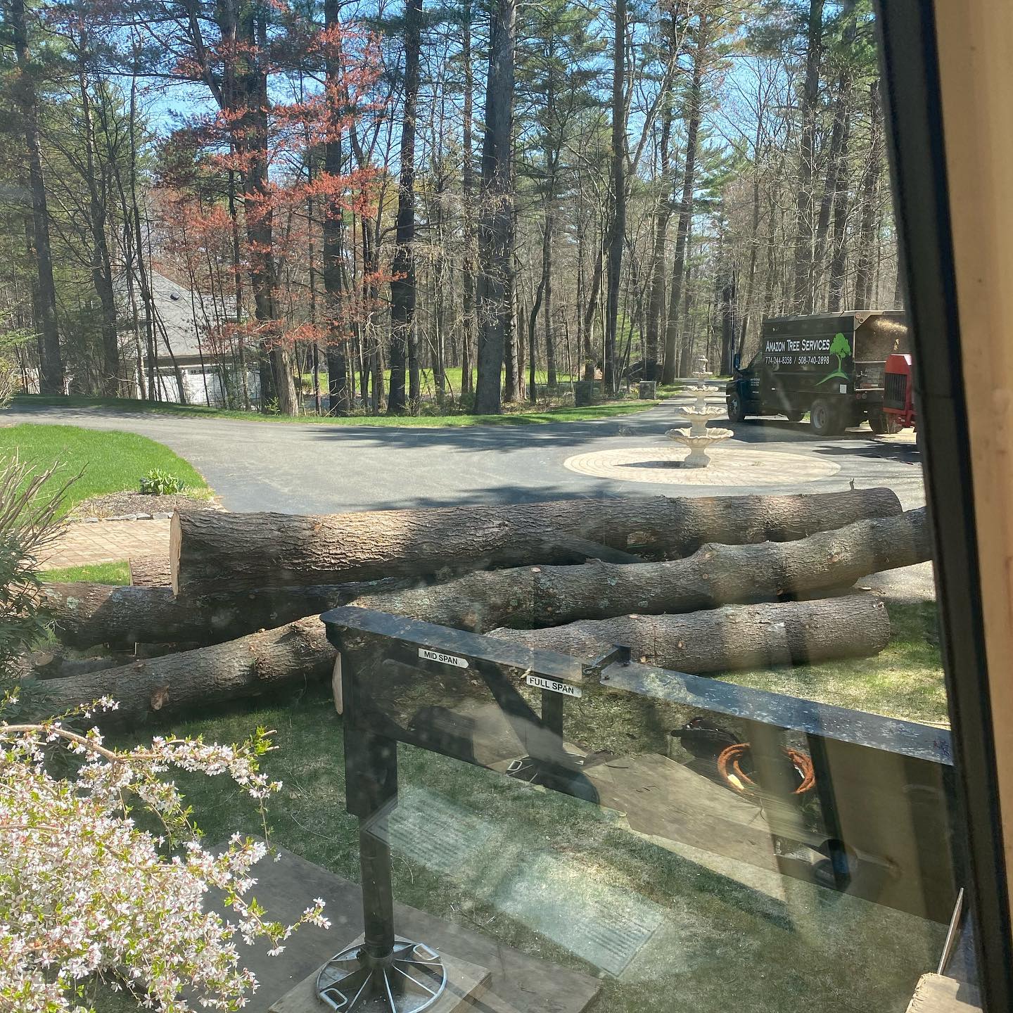 Truck loaded with cut trunk sections