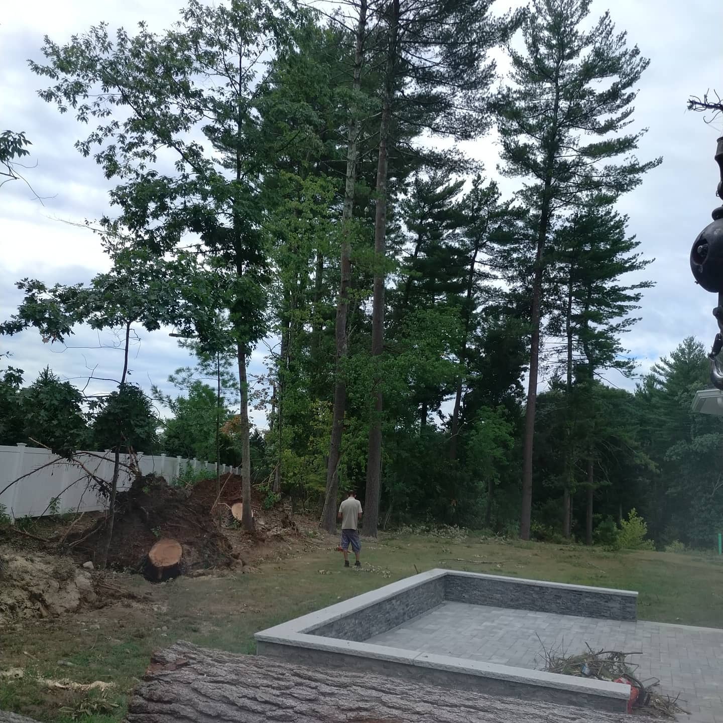 Removal area beside a pool after trunk sectioning