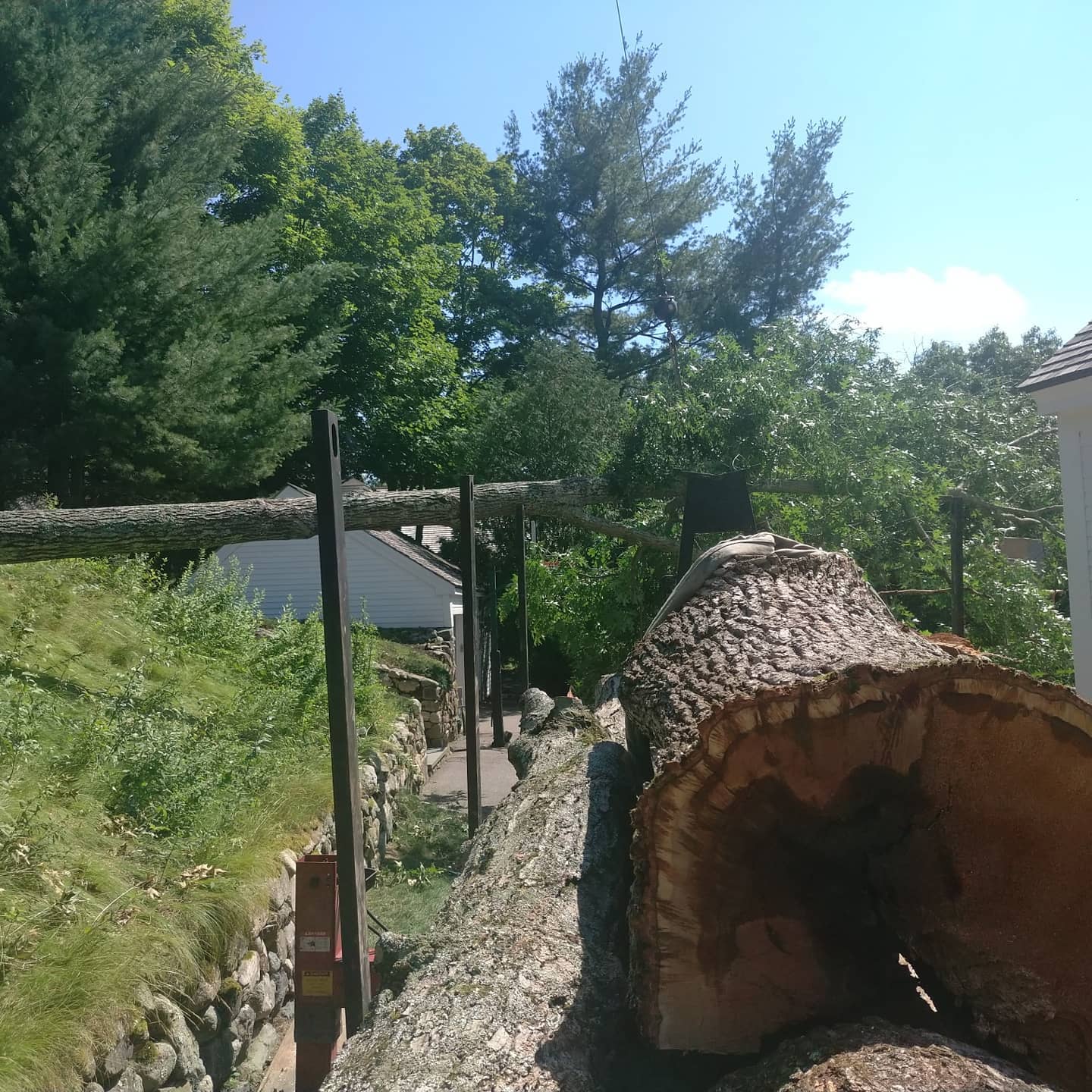 Cut log beside a sloped driveway