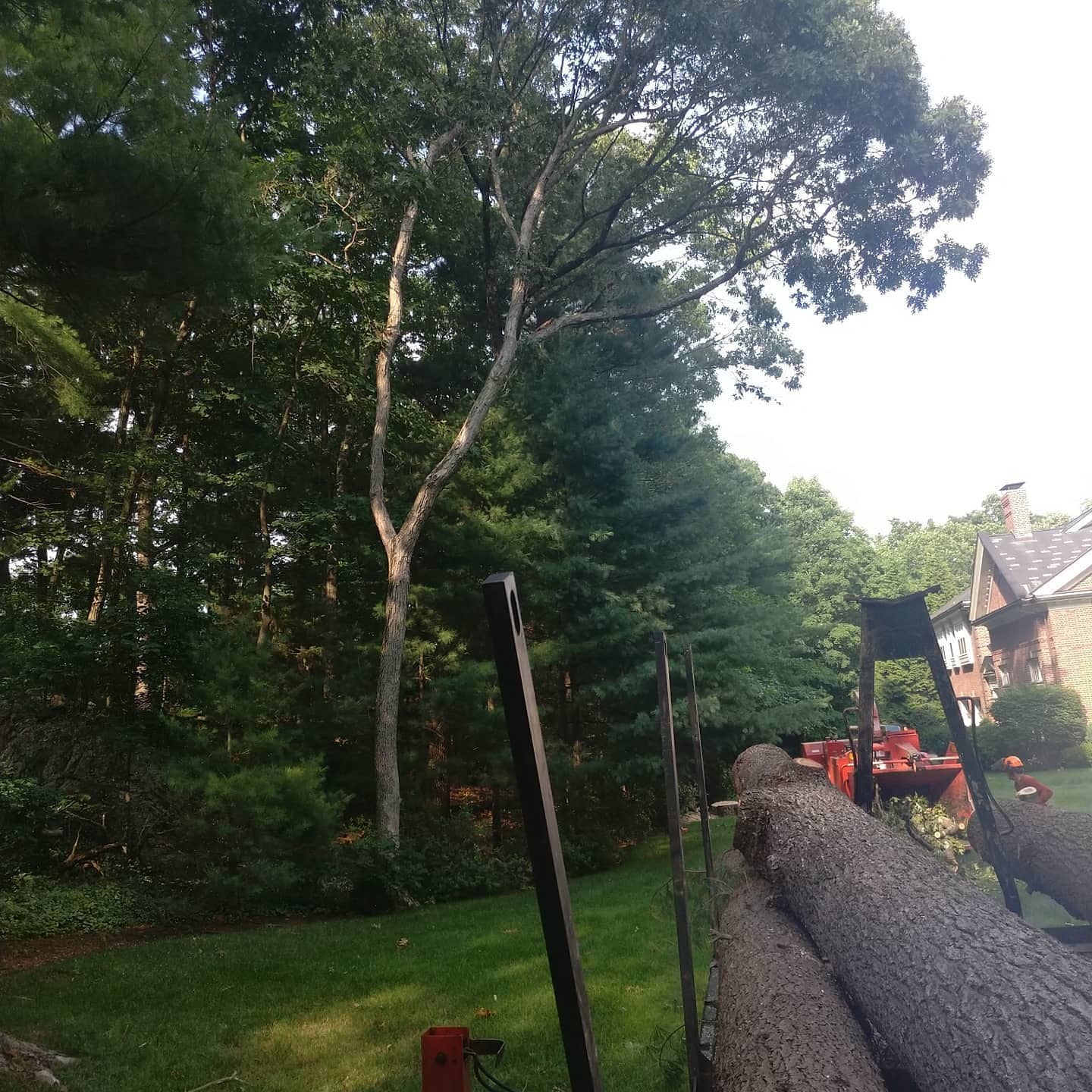 Large log staged beside a driveway